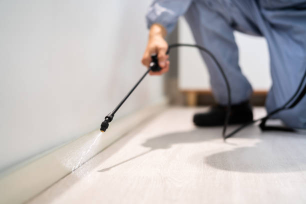 Bed Bug Pre-Treatment Preparation Assessment in Cerritos