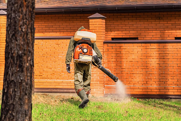 Bed Bug Clearance Verification and Documentation in Cerritos